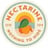 Nectarine