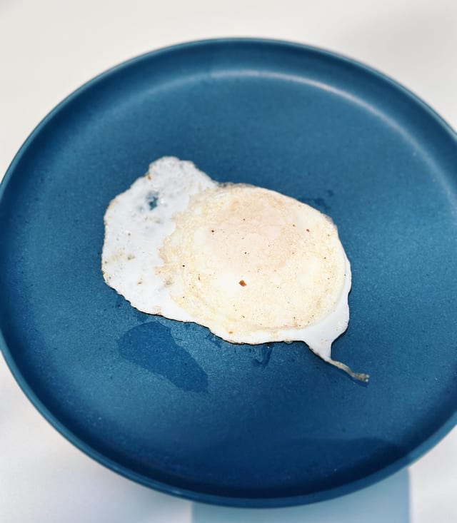 Side 1 Egg.